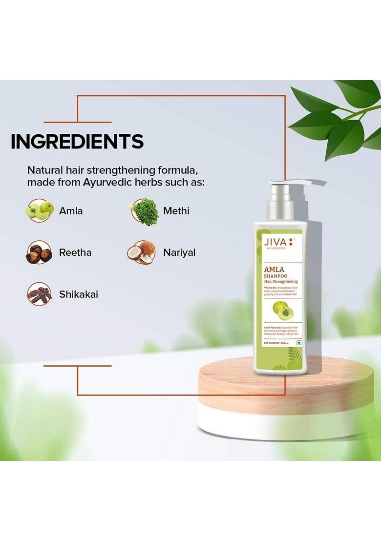 Jiva Amla Shampoo 200 Ml | 100% Ayurvedic Formulation Strenghens Hair, Controls Hairfall And Dandruff Suitable For Men & Women (Pack Of 1)