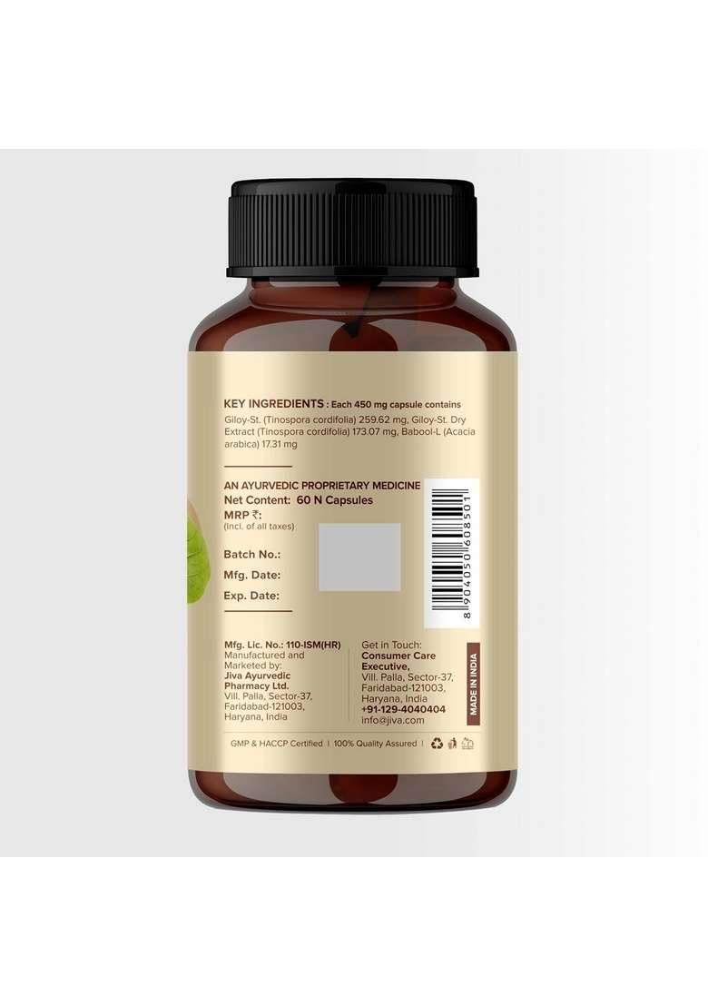 Jiva Giloy - 60 * 1 Capsule For Digestion | 100% Pure & Natural Ageing And Immunity Boost Herbal Supplements Rich In Antioxidants - Indya