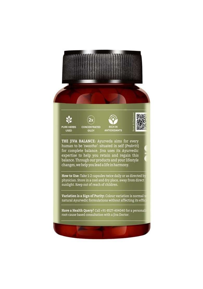 Jiva Giloy - 60 * 1 Capsule For Digestion | 100% Pure & Natural Ageing And Immunity Boost Herbal Supplements Rich In Antioxidants - Indya