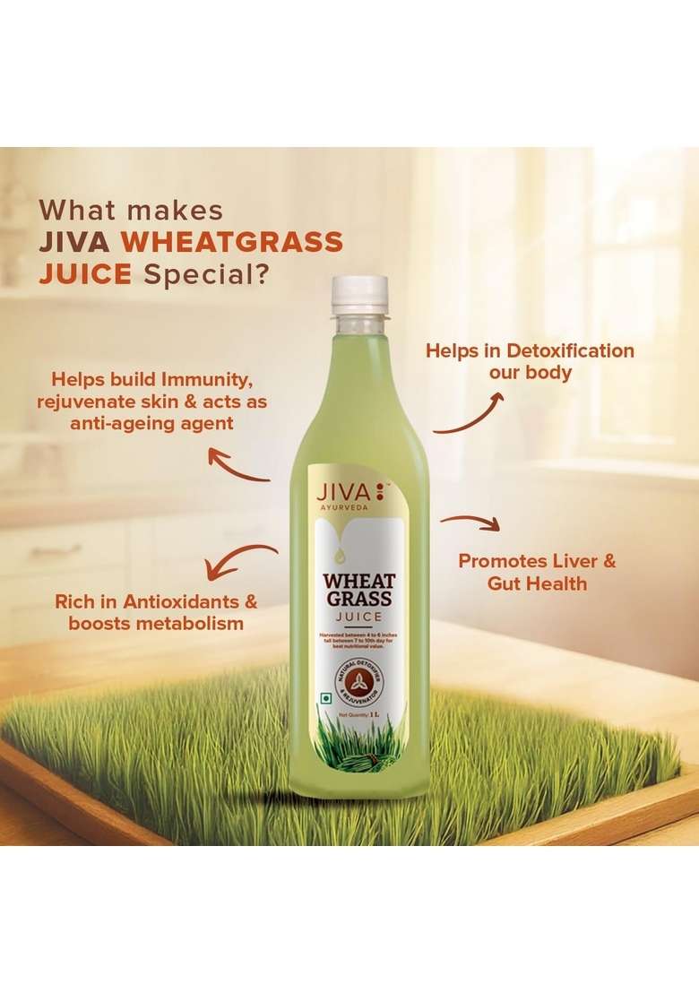 Jiva Ayurveda Wheatgrass Juice Good For Health & Weight| -1 L (Pack Of 1) - Indya