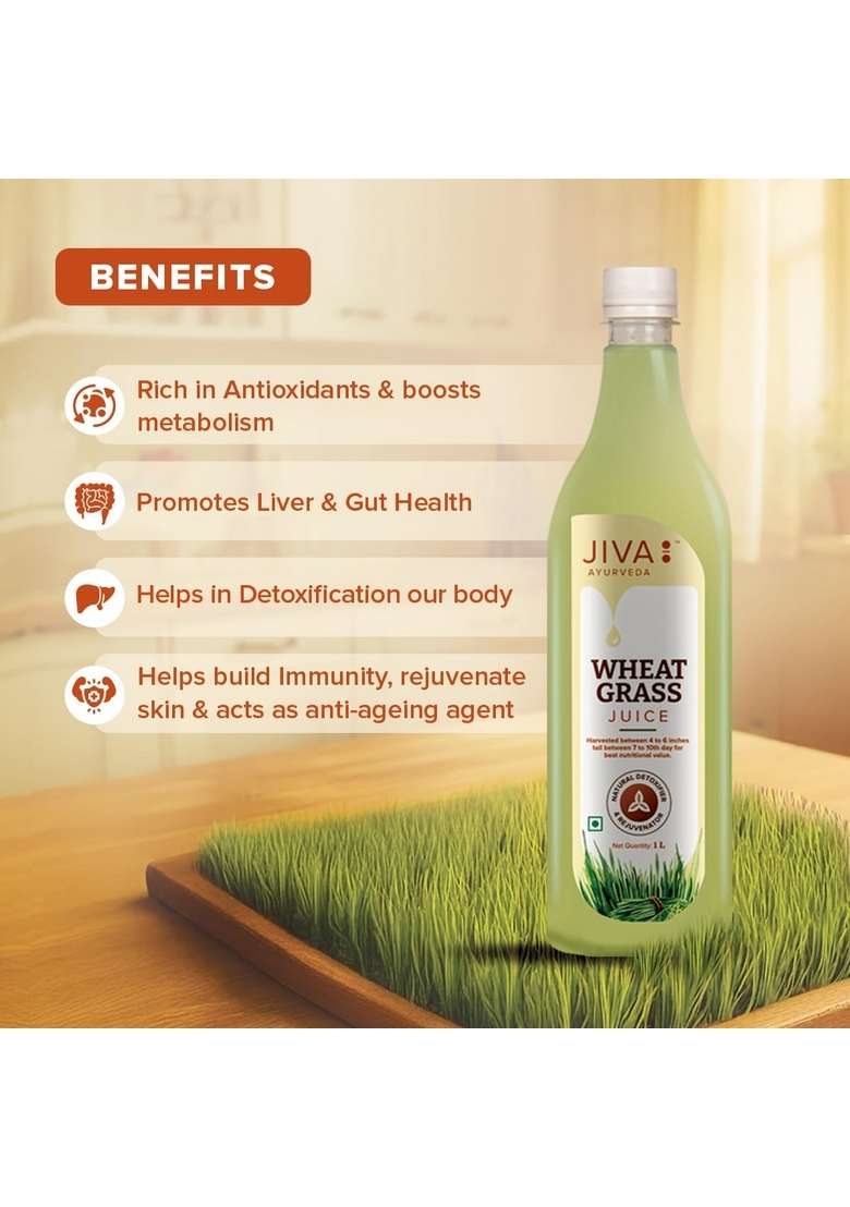 Jiva Ayurveda Wheatgrass Juice Good For Health & Weight| -1 L (Pack Of 1) - Indya