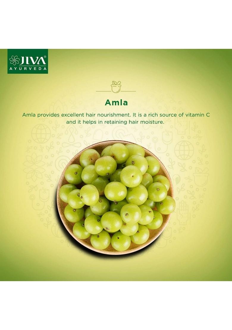 Jiva Amla Oil 120 Ml | 100% Pure & Natural Nourishes Hair, Retains Moisture Helps With Dandruff Hair Loss Suitable For All Types (Pack Of 2)