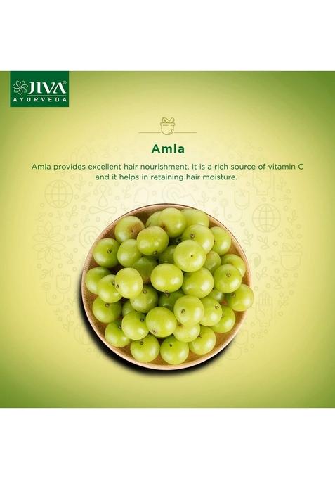 Jiva Amla Oil 120 Ml | 100% Pure & Natural Nourishes Hair, Retains Moisture Helps With Dandruff Hair Loss Suitable For All Types (Pack Of 2)