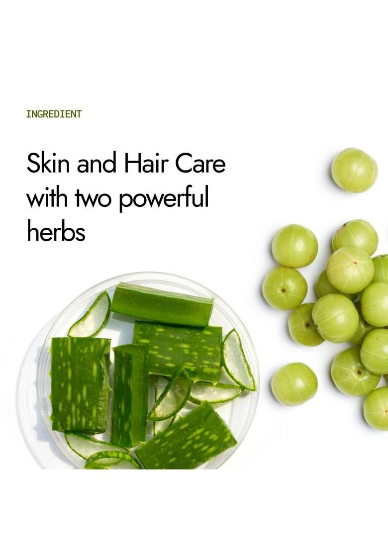 Kapiva Aloe Vera + Amla Juice | Cold-Pressed For Glowing Skin Helps With Metabolism (1L) - Indya