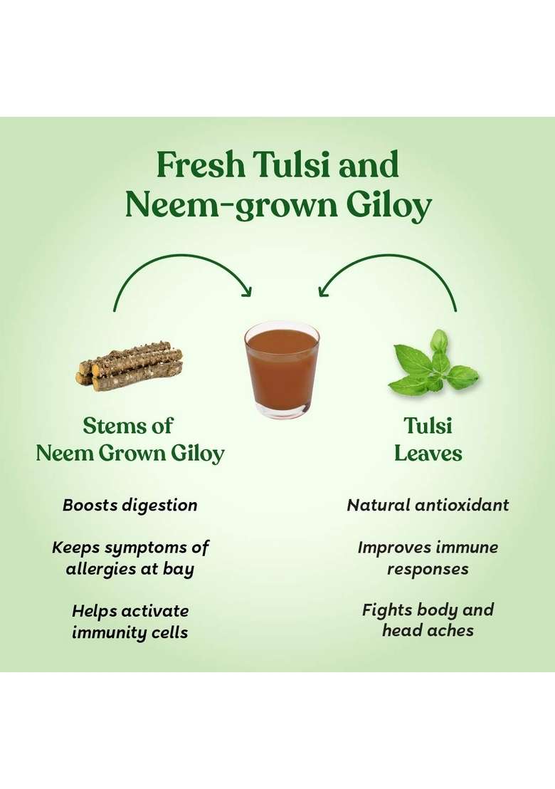Kapiva Wild Tulsi Giloy 1L + Amla Juice | Boosts Immunity And Digestion Natural Pack Boosters For Adults No Added Sugar - Indya