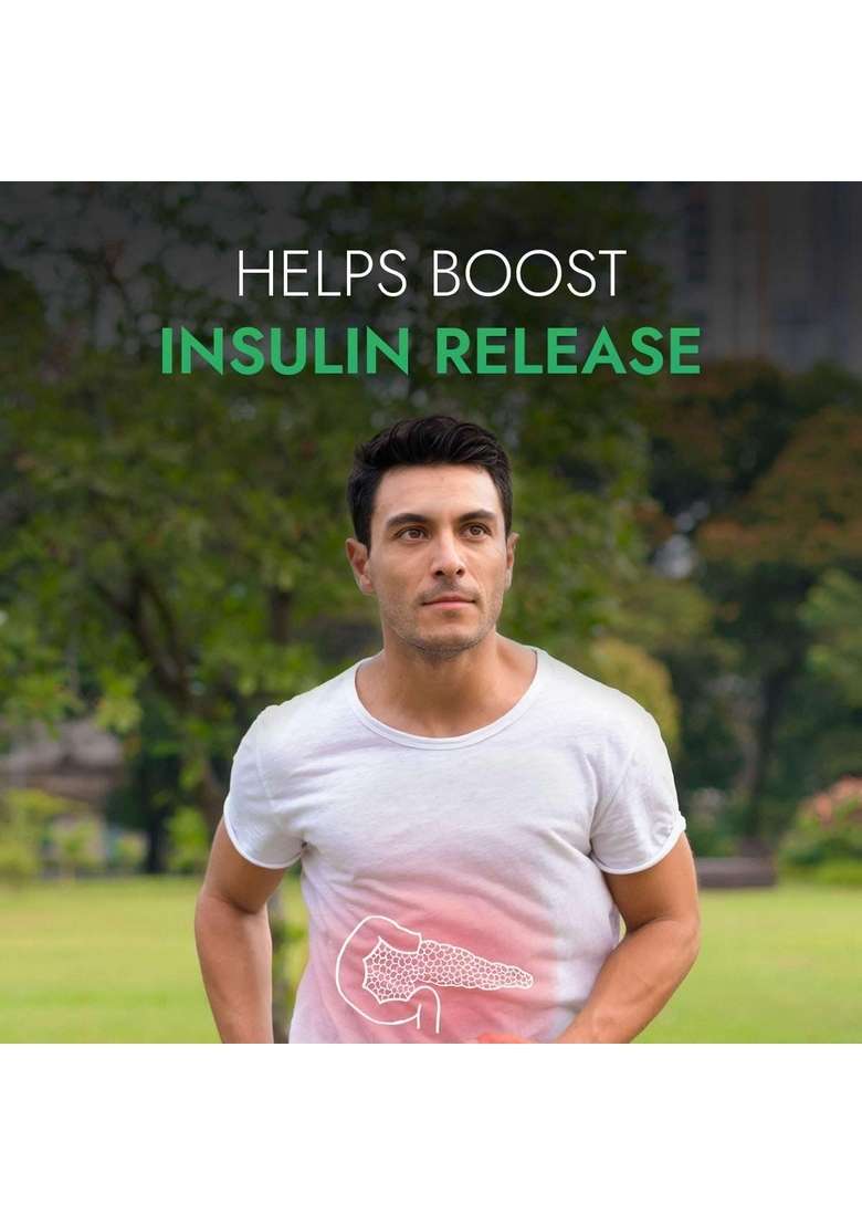Kapiva Dia Foods Green Tea For Blood Sugar Care | Jamun, Gudmar, Methi, & 10 More - Indya