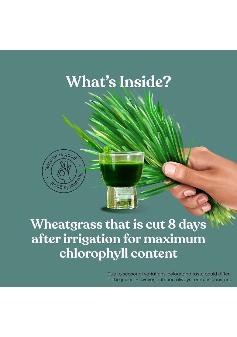 Kapiva Aloe And Amla Juice + Wheatgrass | Ayurvedic Combo For Better Digestion, General Wellness, Skin Hair Care (1L+1L) - Indya