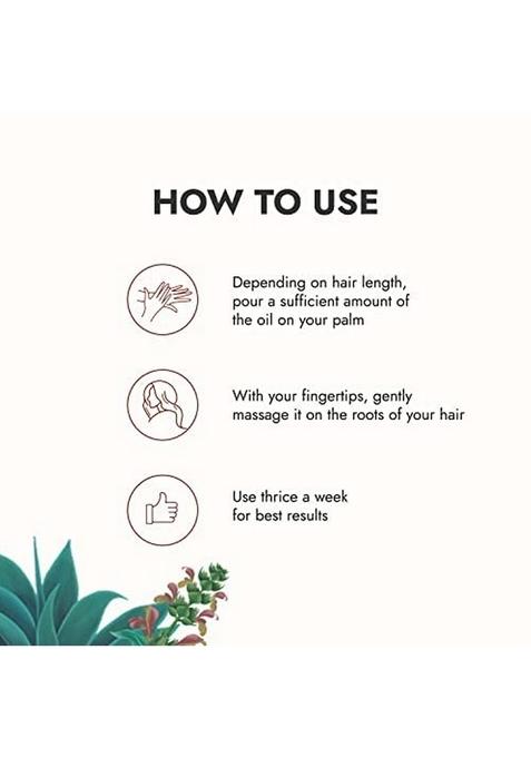 Kapiva Tulsi Anti-Hair Fall Oil For Unisex Adult (200 Ml) Visible Results In 2 Months 100% Ayurvedic With Tulsi-Based Actives