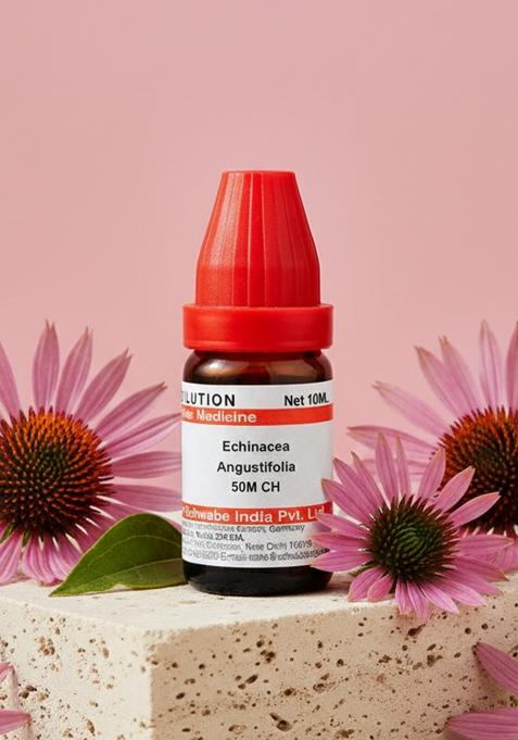 Dr Willmar Schwabe India Echinacea Angustifolia Dilution 50M CH