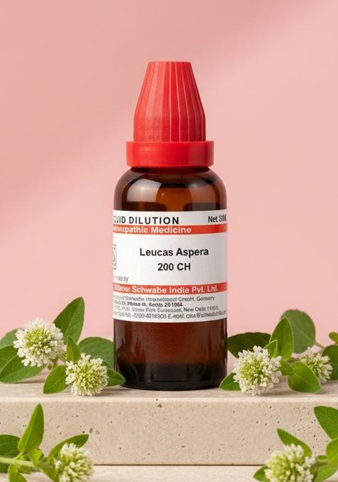 Dr Willmar Schwabe India Leucas Aspera Dilution 200 CH