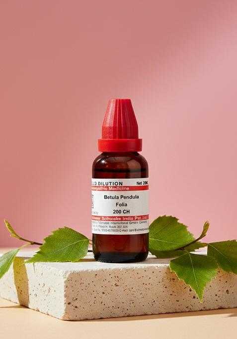Dr Willmar Schwabe India Betula Pendula Folia Dilution 200 CH