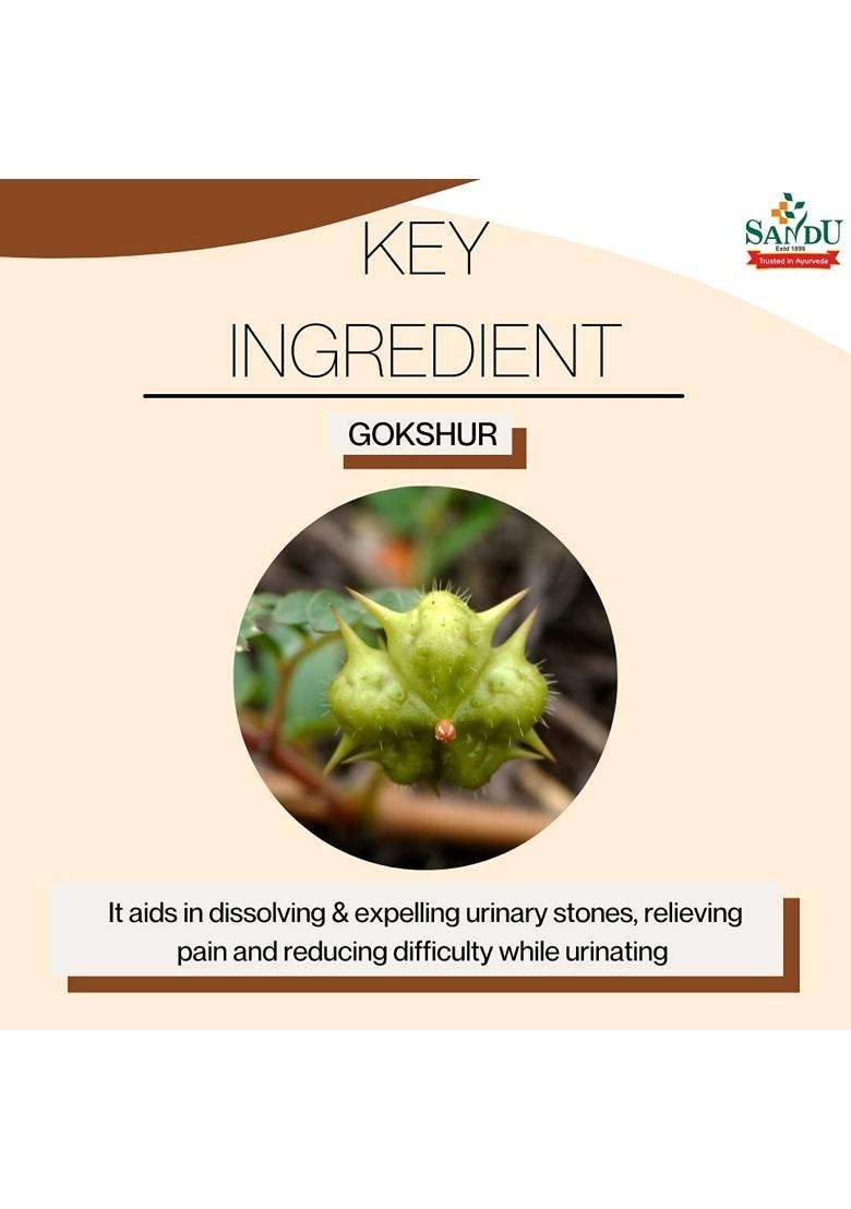 Sandu Gokshur Kadha (Sandu Gokharu Kadha) 450 ml | Authentic Traditional Formula | Ayurvedic Medicine for Urinary Problems (450 ml) - Indya