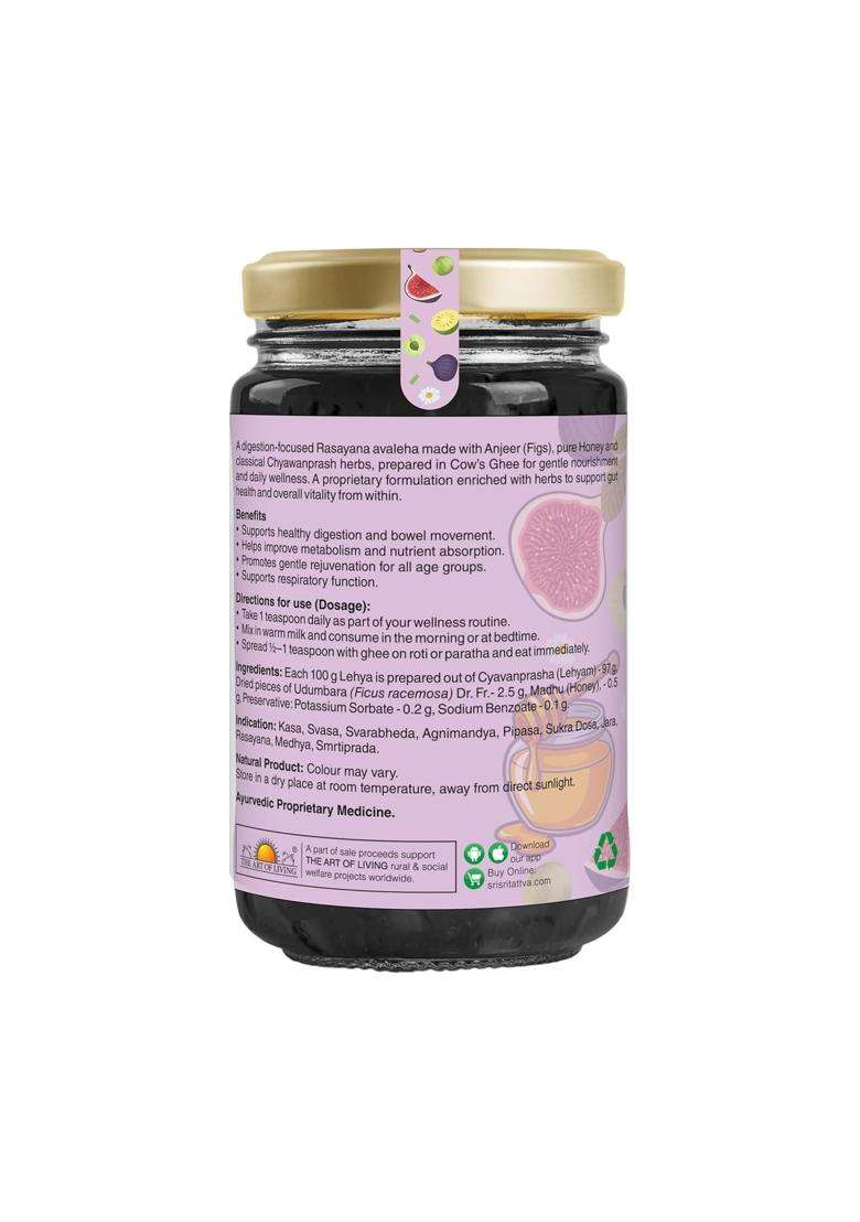 Sri Sri Tattva Fig Honeyprash 450g | Authentic Traditional Formula | Digestive Immunity & Daily Wellness Support | Fig Anjeer Honey Amla - Indya