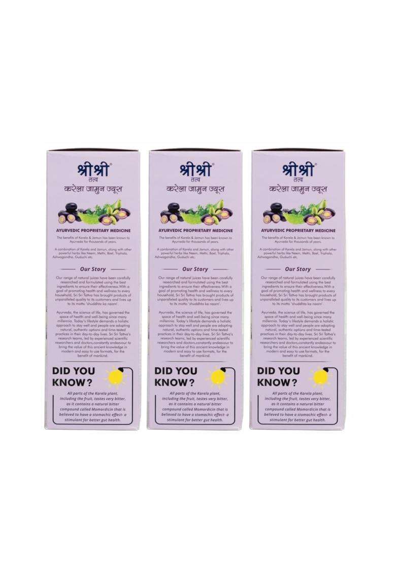 Sri Sri Tattva Karela Jamun Juice 500 ml (Pack of 3) | Maintains Blood Sugar Levels | Reduces Bad Cholesterol | Good for Digestive Health - Indya