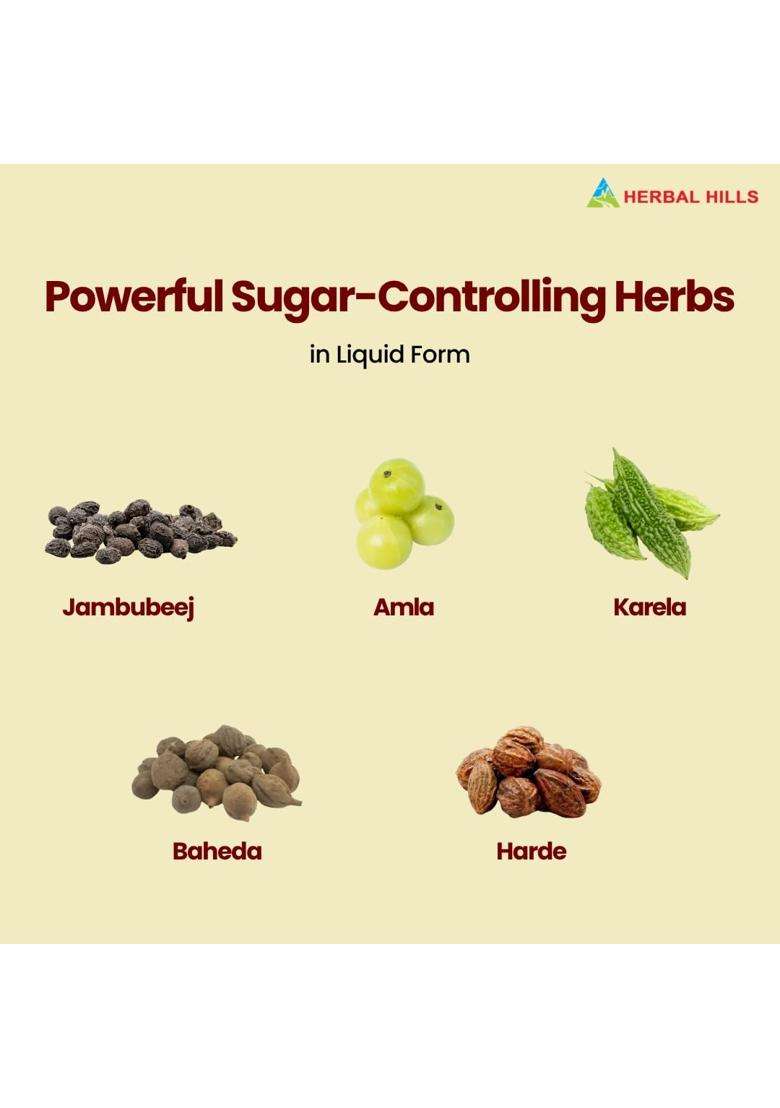 Herbal Hills Diabohills Herbal Shots (500 ml Bottle) (Pack of 2) | Authentic Traditional Formula | Supports Sugar Control & Metabolism - Indya