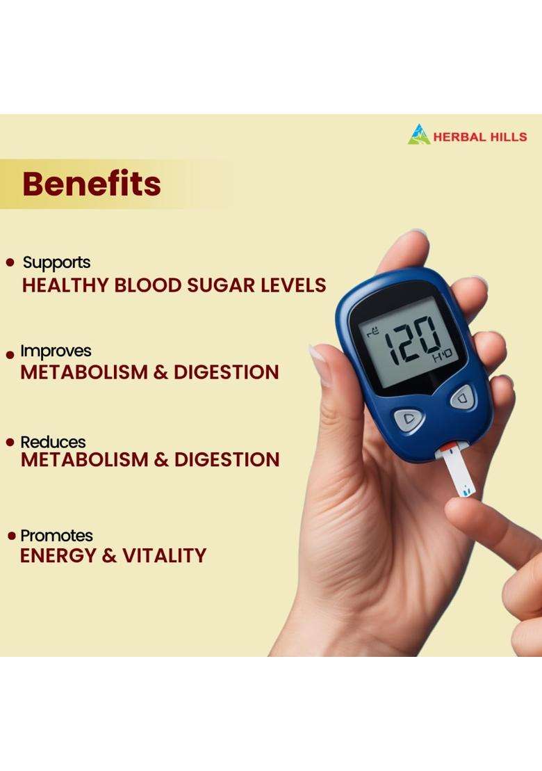 Herbal Hills Dia Care Churna, 100 g | Authentic Ayurvedic Formula - Indya