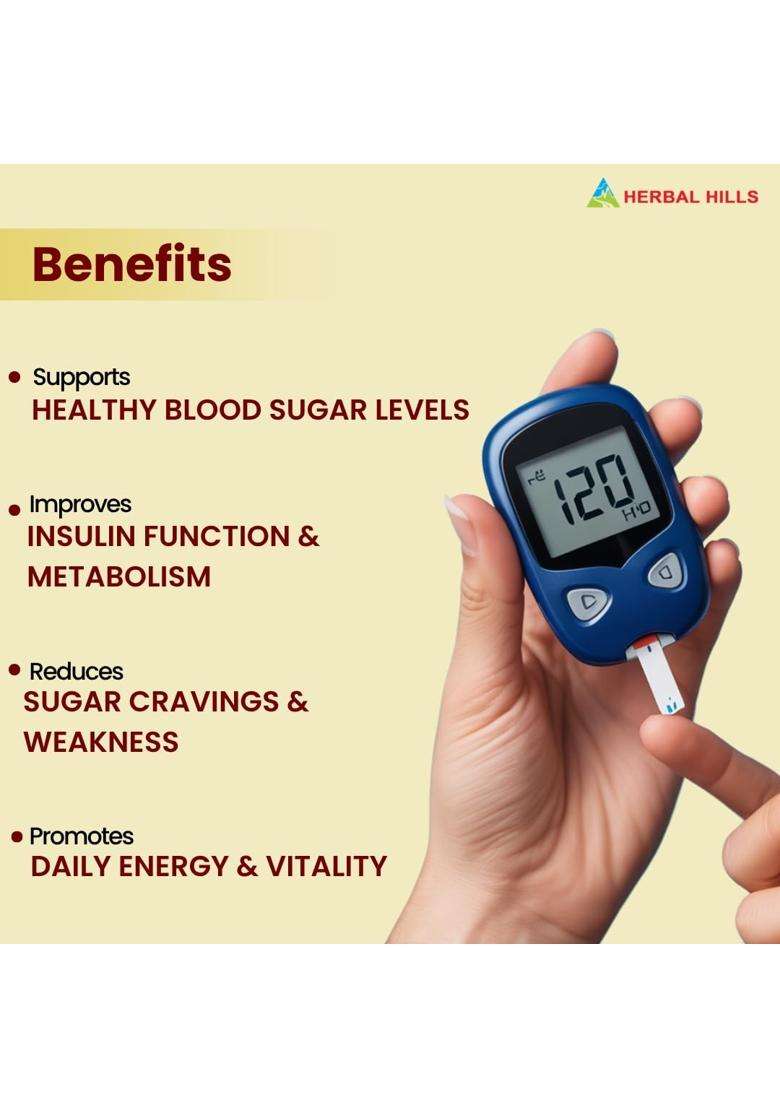 Herbal Hills Diabohills Tablets, 60 Count (Pack of 2) | Natural Herbal Care - Indya