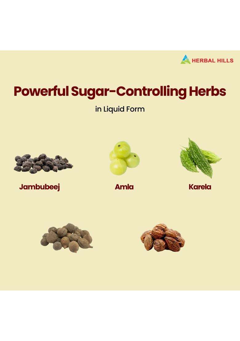 Herbal Hills Diabohills Tablets, 60 Count (Pack of 4) | Natural Herbal Care - Indya