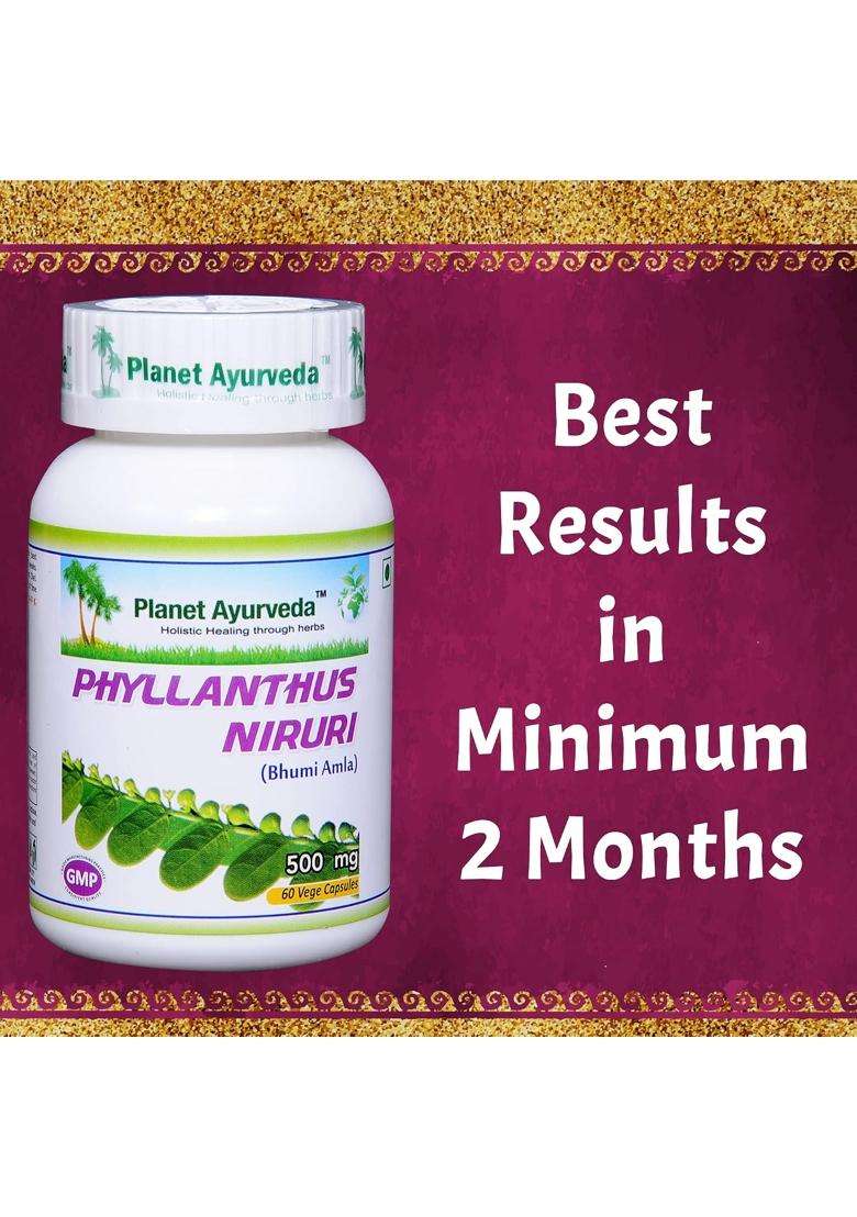 Planet Ayurveda Phyllanthus Niruri Capsules | Authentic Traditional Formula | 60N - Indya