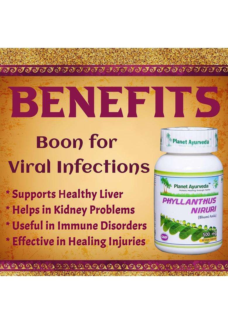 Planet Ayurveda Phyllanthus Niruri Capsules | Authentic Traditional Formula | 60N - Indya