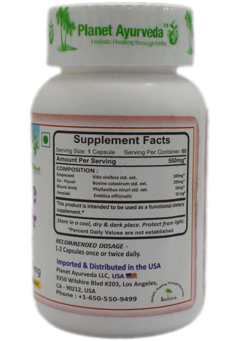 Planet Ayurveda Immune Booster Capsules 60 Capsules | Authentic Traditional Formula - Indya