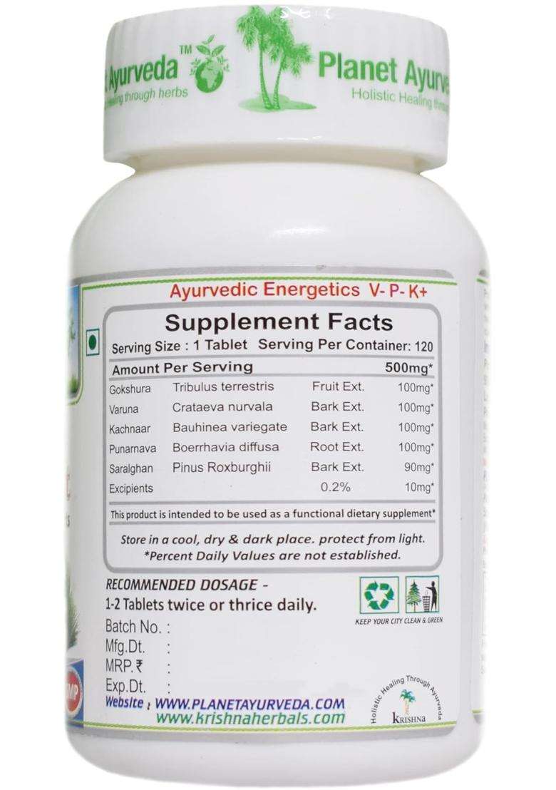 Planet Ayurveda Prostate Support Tablets, Ayurvedic Medicine Beneficial in Prostate 120 Tablets | Authentic Traditional Formula - Indya