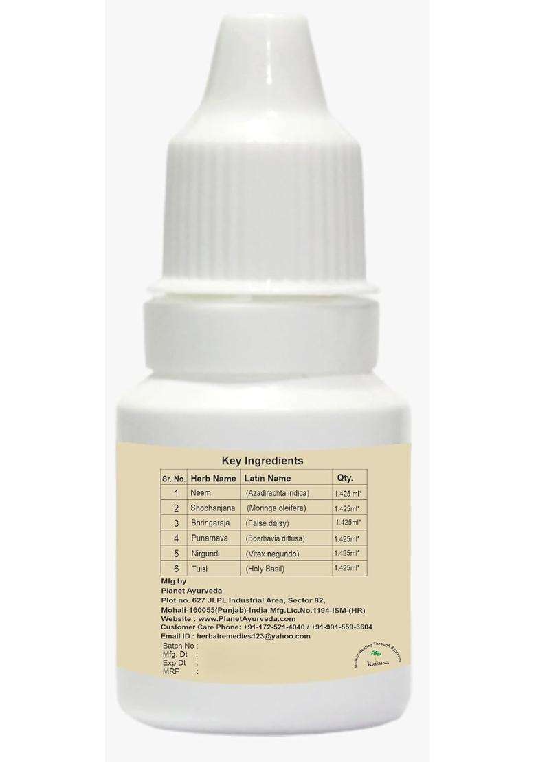 Planet Ayurveda Jasnoor Eye Drops,, Supports Eye Health- Herbal Eye Care Drops 12 ml (Pack of 2) | Authentic Traditional Formula - Indya