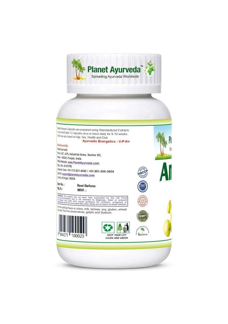 Planet Ayurveda Amalaki Rasayan Capsules 60 Veg Capsules | Authentic Traditional Formula | Pure Amla-Based Herbal Supplement - Indya
