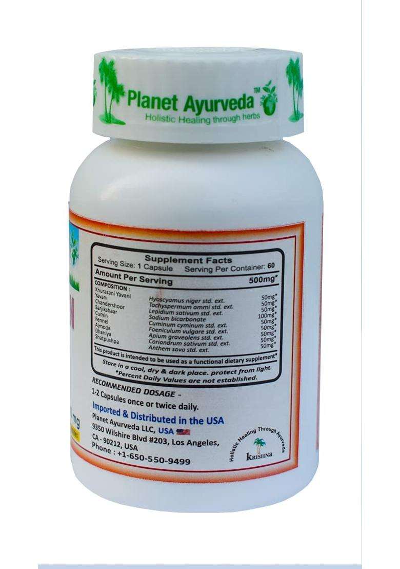 Planet Ayurveda Gasoplan Capsules (60 CAP) | Authentic Traditional Formula - Indya