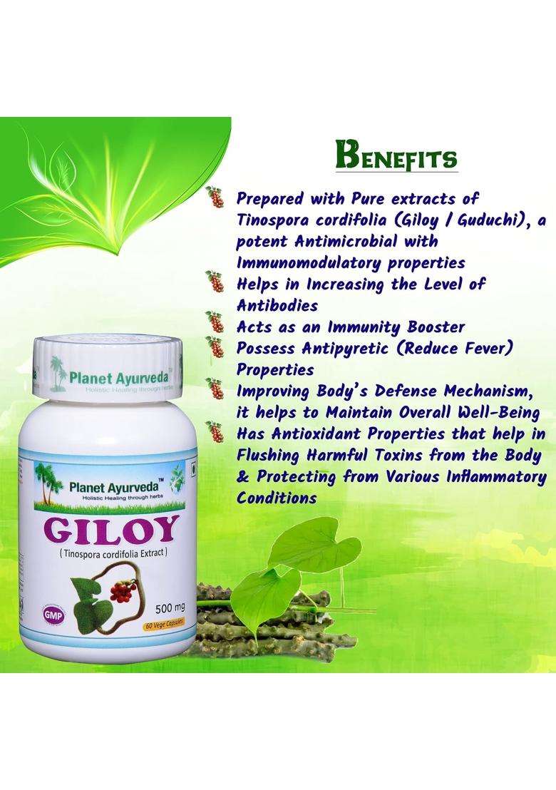 Planet Ayurveda Giloy Capsules for Immunity, 60 Capsules | Authentic Traditional Formula - Indya