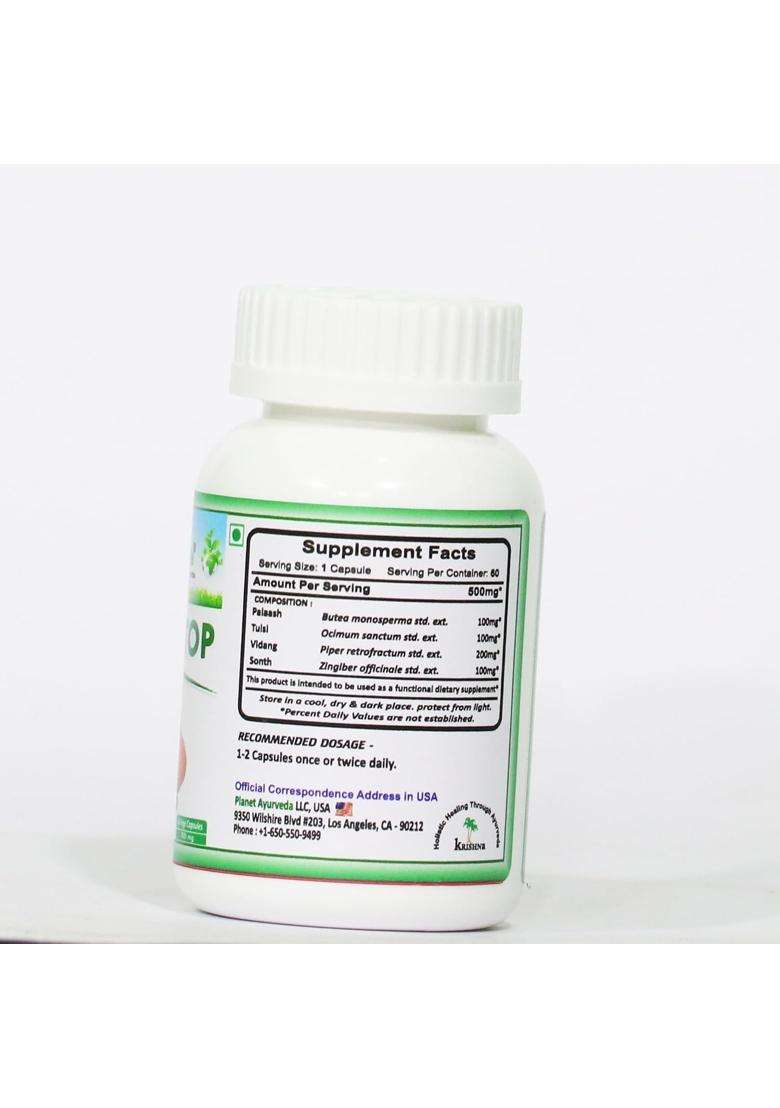 Planet Ayurveda Wormistop Capsules, Ayurvedic Herbal Supplement, 60 Capsules | Authentic Traditional Formula - Indya