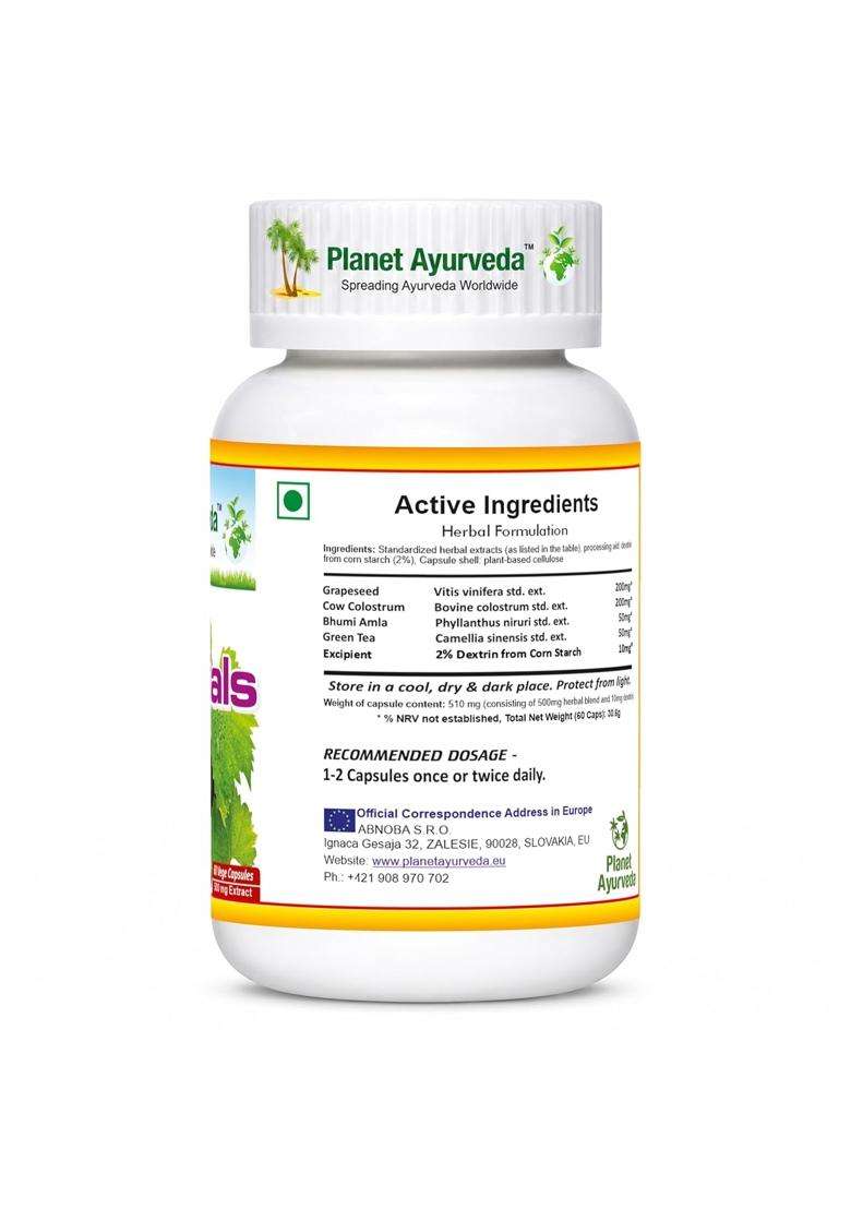 Planet Ayurveda Daily Essentials Capsules Fights Against Illness and Keeps You Fit and Healthy 60 Capsules | Authentic Traditional Formula - Indya