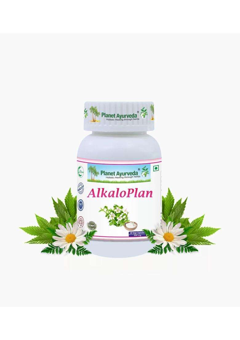Planet Ayurveda Alkaloplan Capsules, 60 Vegetarian Nutritional Supplement Capsules for Digestive Health Support | Authentic Traditional Formula - Indya