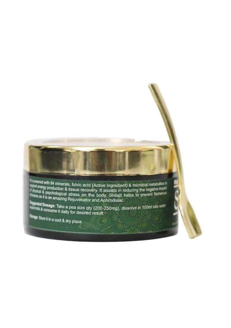 Planet Ayurveda Shilajit Resin 20g | Authentic Traditional Formula | Pure Himalayan, Powerful Energy, Strength & Vitality Support | Lab-Tested Quality - Indya