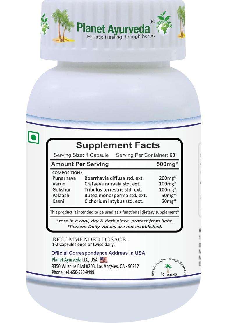 Planet Ayurveda Revive Kidneys Pack (RKP) | Authentic Traditional Formula - Indya