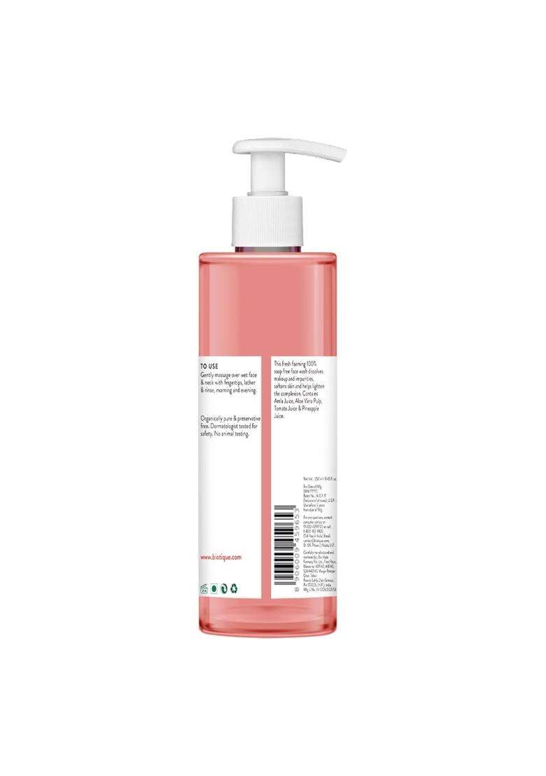 Biotique Fruit Brightening Face Wash 250 ml | Authentic Traditional Formula | Ayurvedic and Organically Pure | Advanced Swiss Technology - Indya