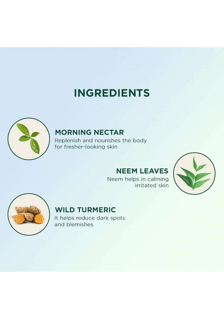 Biotique Morning Nectar Nourish & Hydrate Body Wash For Visibly Flawless Skin, 200 ml - Indya