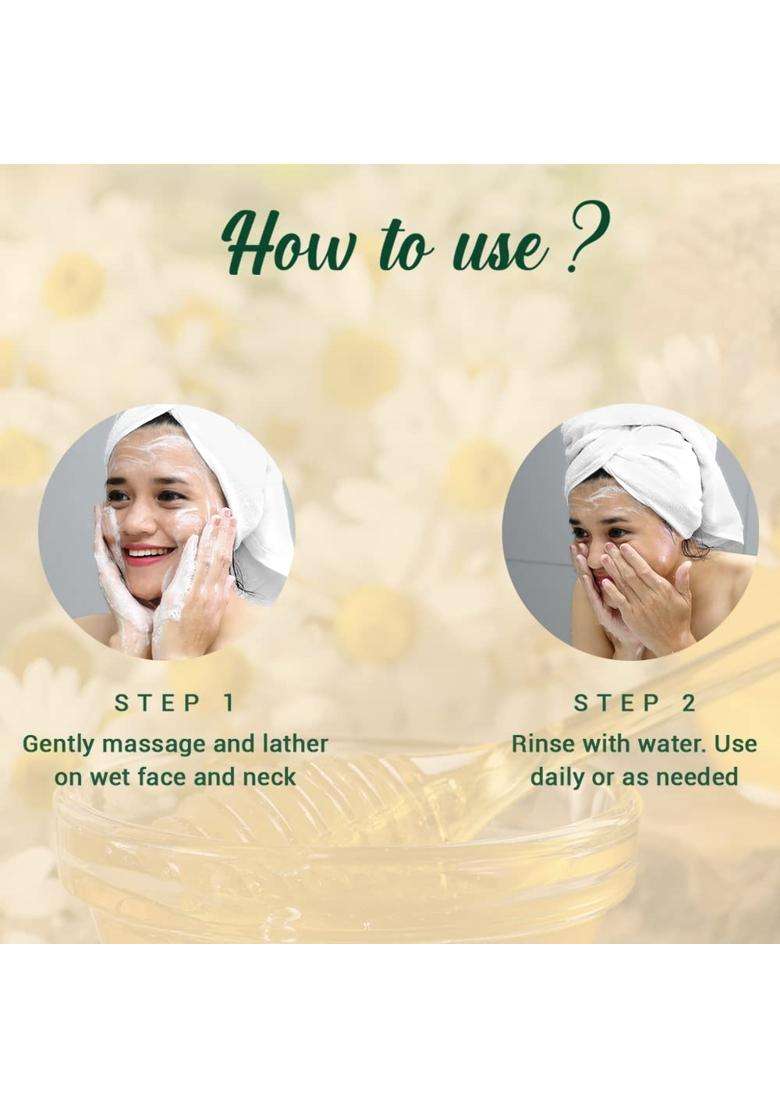 Biotique Honey Gel Soothe & Nourish Foaming Face Wash 400 ml (200 ml x 2) - Indya
