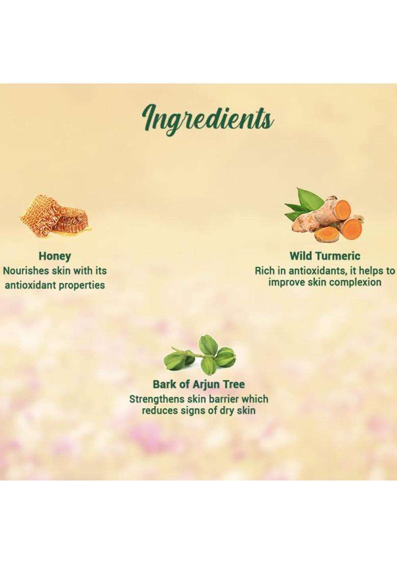 Biotique Honey Gel Soothe & Nourish Foaming Face Wash 400 ml (200 ml x 2) - Indya