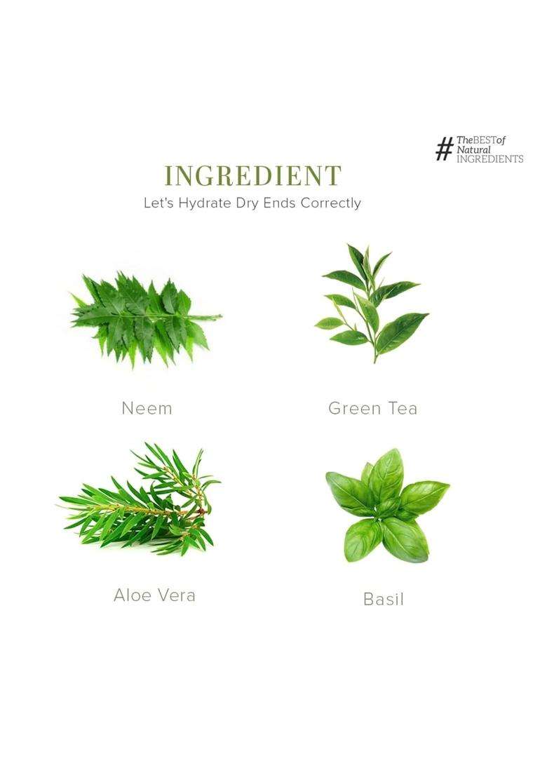 Khadi Natural Neem, Teatree and Basil Herbal Hair Oil, Paraben Mineral Oil Free 210 ml | Natural Herbal Care | Unique non-greasy hair formula - Indya