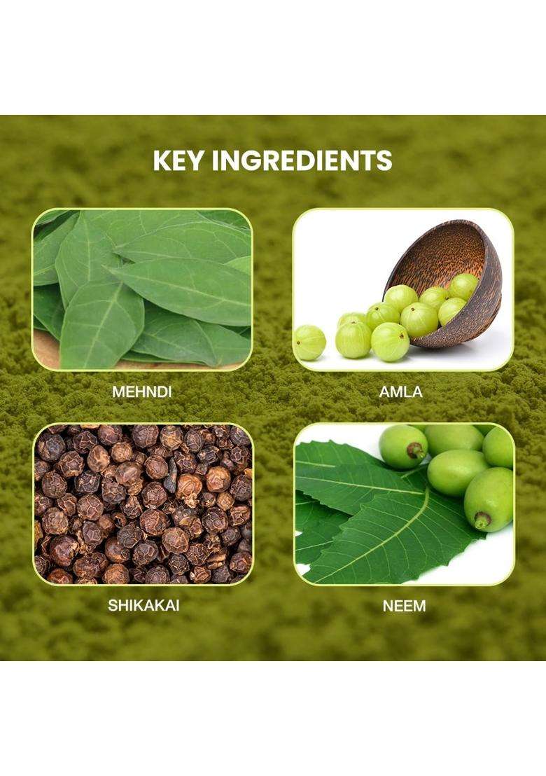 Shahnaz Herbals Henna Precious Herb Mix 100g | Henna Powder - Indya