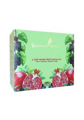 Shahnaz Herbals 5 Step Facial Kit for Glowing & Rejuvenated Skin, Herbal Skincare Treatment, 50g (50 g, Mix Fruit) (Pack of 2) | Natural Herbal Care