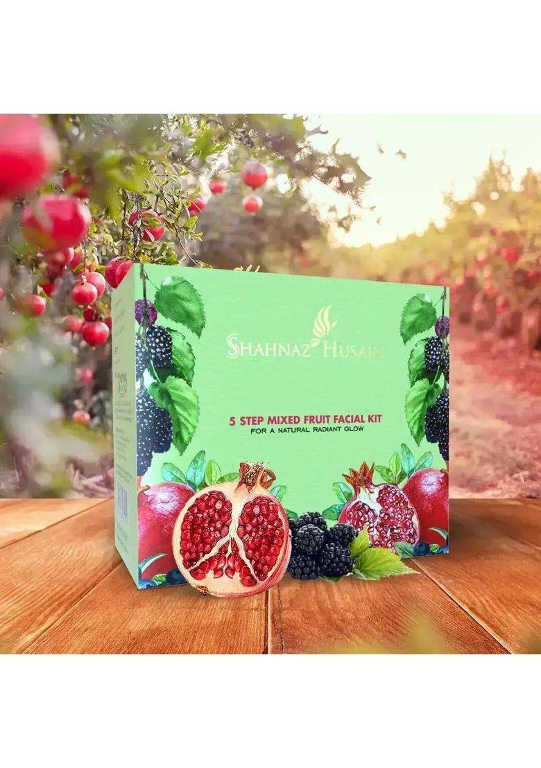 Shahnaz Herbals 5 Step Mixed Fruit Facial Kit, Light,, 15 Count (Pack of 2) - Indya