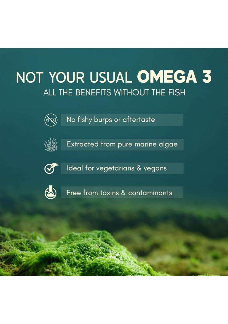 Rasayanam Plant Based Omega-3 Capsules, 1600mg | Authentic Ayurvedic Formula | Gelatin Free, No Burps, No Fish Oil, Pure Algae | 60 Capsules - Indya