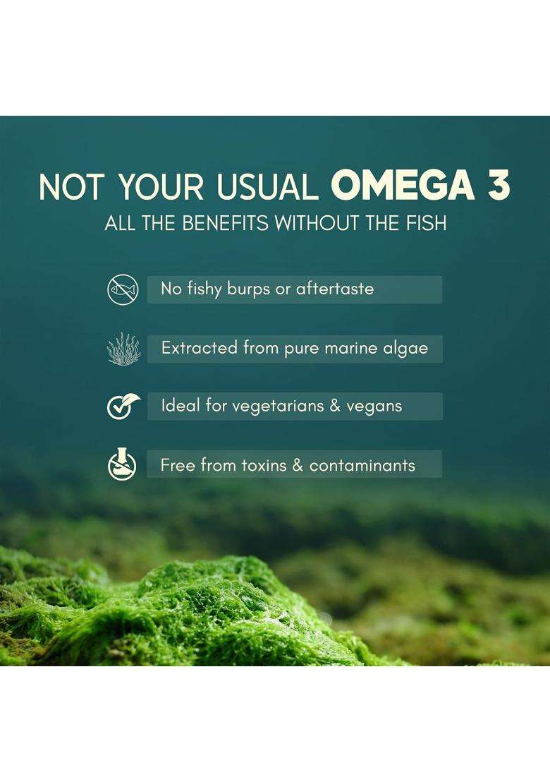 Rasayanam Plant Based Omega-3 Capsules, 1600mg (Pack of 3) | Authentic Ayurvedic Formula | Gelatin Free, No Fish Oil, No Burps | (180 Capsules) - Indya