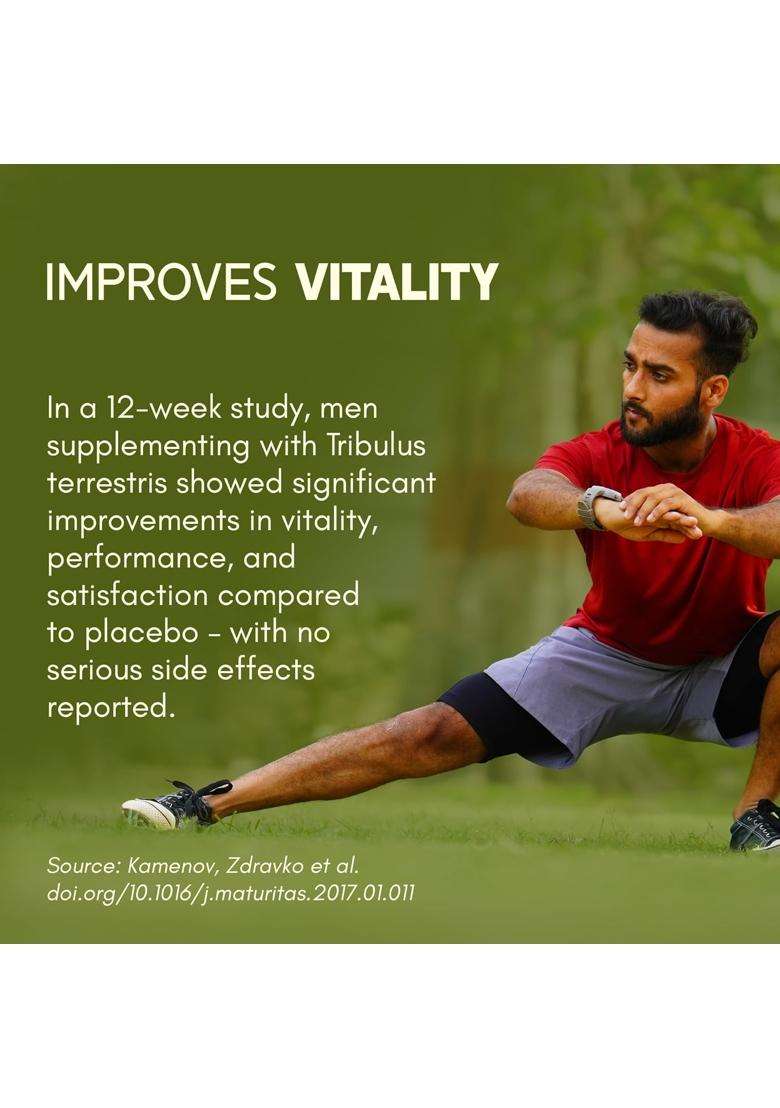 Rasayanam Tribulus Gokhru-60 120 Tablets | Authentic Ayurvedic Formula | 60% Saponins For Max Results | Daily Vitality Supplement for Men - Indya