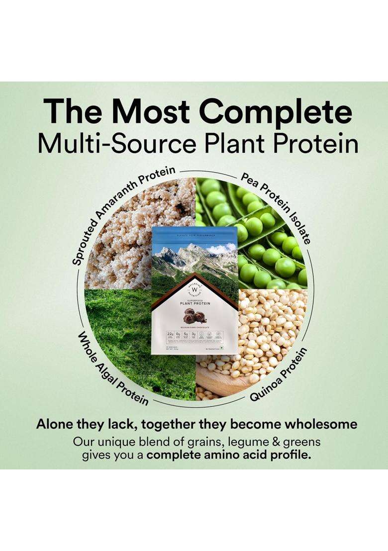 Wellbeing Nutrition Organic Vegan Plant Protein Isolate 22g | 22g Protein, 5g Bcaa, 3B CFU Probiotics, Enzymes, 3g Fiber, 5 Alkalizing Greens - Indya