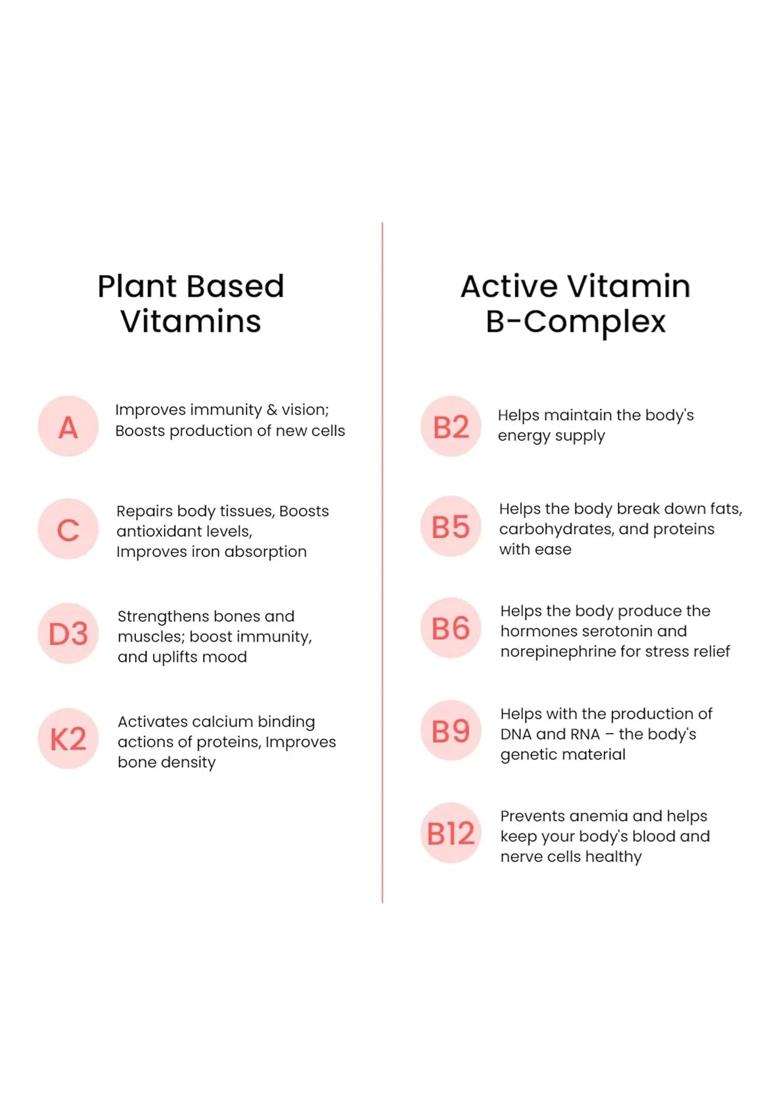 Wellbeing Nutrition Melts Plant Based Multivitamin for Men & Women for Increased Energy & Immunity - Indya