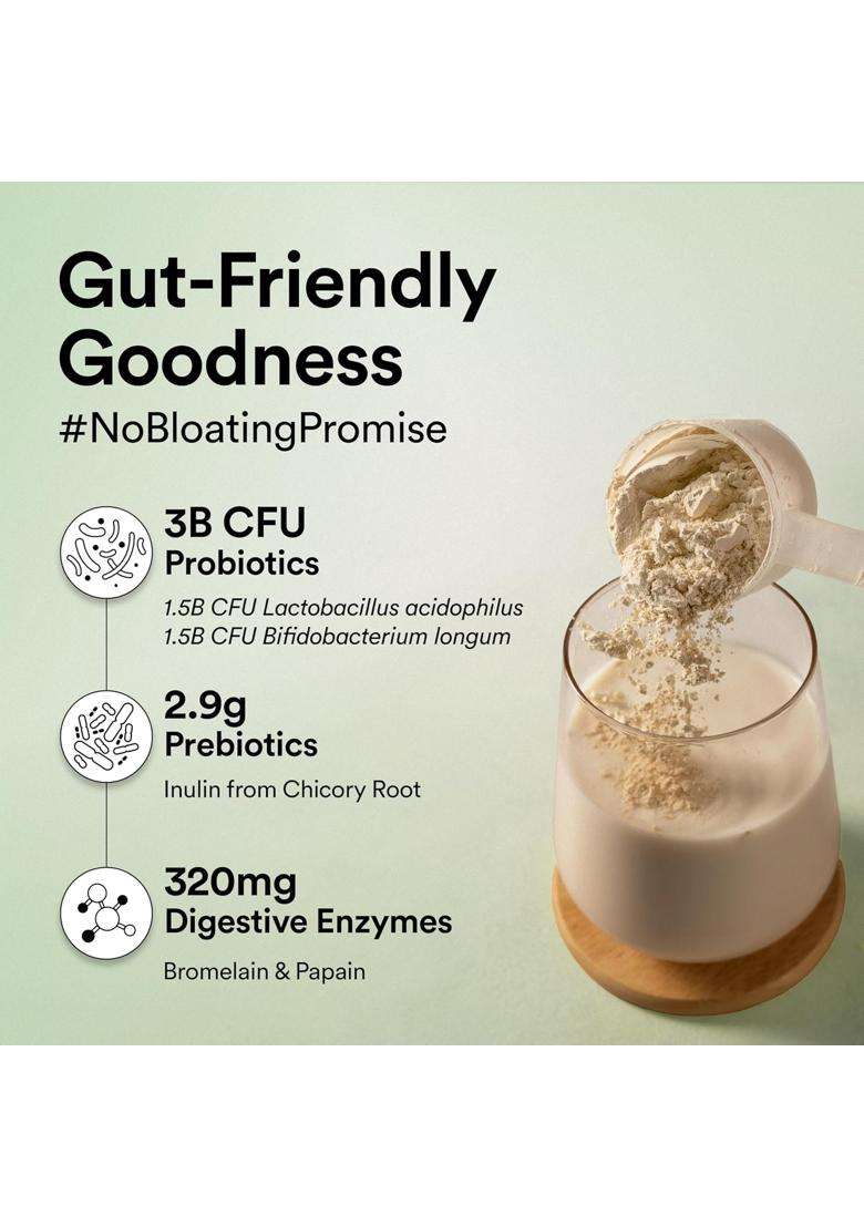 Wellbeing Nutrition Organic Vegan Plant Protein Isolate 22g | 22g Protein, 5g Bcaa, 3B CFU Probiotics, Digestive Enzyme, 3g Fiber, Alkalizing Green - Indya