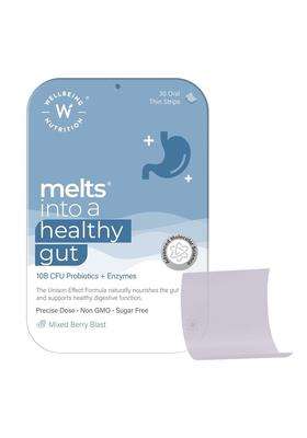 Wellbeing Nutrition Melts Healthy Gut | 10B CFU Probiotics, Digestive Enzymes, FOS
